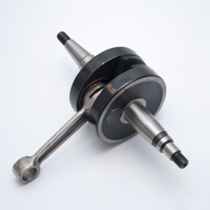 Wał korbowy do Derbi Senda 50 GPR 50 Gilera RCR 50 '06-'11, Aprilia RS/RX '06-'10