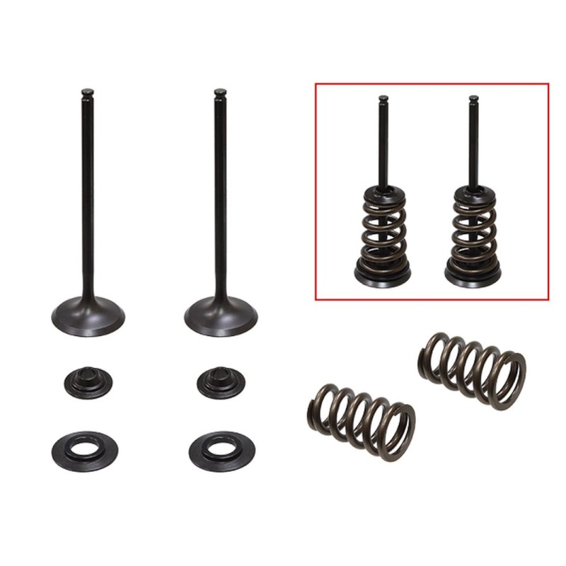 Zawory ssące do KTM SX-F / EXC-F 250 '05-'07 - kompletny zestaw 2 szt. z zaworami, sprężynami i podkładkami