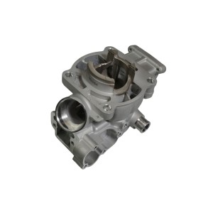 PROMX CYLINDER KAWASAKI KX 85 '06-'13 (STD 48,5MM) NICASIL - Najwyższej jakości cylindry do motocykli