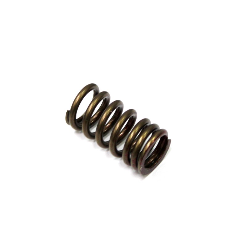 PSYCHIC SPRĘŻYNA ZAWORU WYDECHOWEGO KAWASAKI KXF 250 \'04-\'18, SUZUKI RMZ 250 \'04-\'17, GSX-R 750 \'06-17, GSX-R 1000 \'05-06 