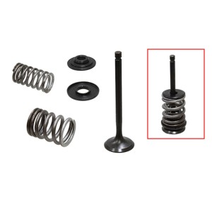 PSYCHIC ZAWÓR WYDECHOWY (KOMPLETNY ZAWÓR ZE SPRĘŻYNAMI I PODKŁADKAMI) YAMAHA TW 200 \'87-\'16, TT-R 225 / 230 \'00-\'16 STALOWY 