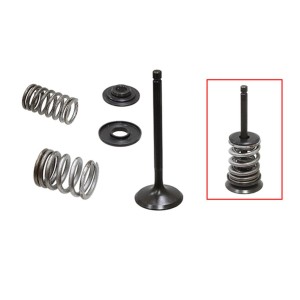 NAMURA (PSYCHIC) ZAWÓR SSĄCY (KOMPLETNY ZAWÓR ZE SPRĘŻYNAMI I PODKŁADKAMI) YAMAHA TW 200 \'87-\'16, TT-R 225 / 230 \'00-\'16 STA