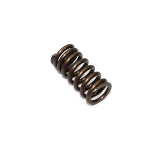 NAMURA (PSYCHIC) SPRĘŻYNA ZAWORU SSĄCEGO HONDA CRF 250R \'04-\'09, X \'04-\'13 (XU-09526IS)