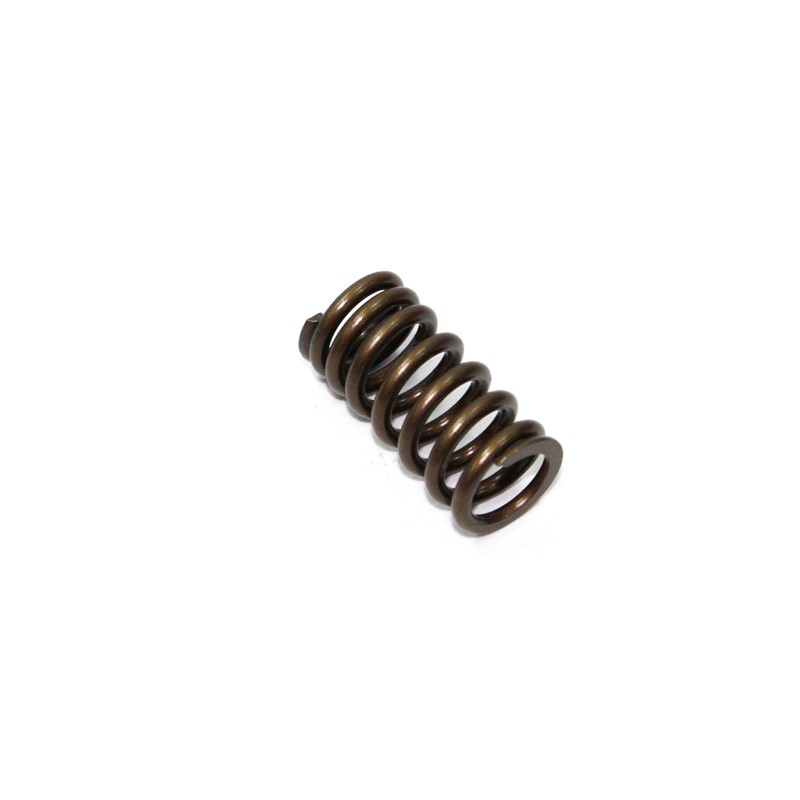 NAMURA (PSYCHIC) SPRĘŻYNA ZAWORU SSĄCEGO HONDA CRF 250R \'04-\'09, X \'04-\'13 (XU-09526IS)