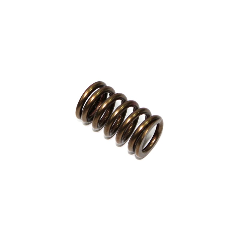 PSYCHIC SPRĘŻYNA ZAWORU WYDECHOWEGO KAWASAKI KXF 450 \'06-\'17, KFX 450R \'08-14 (XU-09528ES)