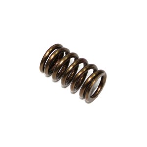 PSYCHIC SPRĘŻYNA ZAWORU WYDECHOWEGO KAWASAKI KXF 450 \'06-\'17, KFX 450R \'08-14 (XU-09528ES)