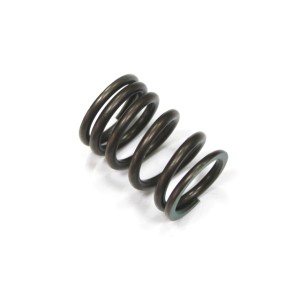 PSYCHIC SPRĘŻYNA ZAWORU SSĄCEGO SUZUKI RMZ 450 \'05-\'07 (XU-09536IS)