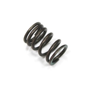 PSYCHIC SPRĘŻYNA ZAWORU SSĄCEGO SUZUKI RMZ 450 \'05-\'07 (XU-09536IS)