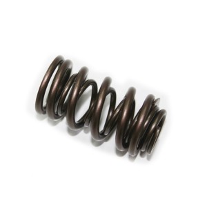 PSYCHIC SPRĘŻYNA ZAWORU WYDECHOWEGO HONDA CRF 450X \'05-\'16, TRX 450R \'06-\'09, 450ER \'07-\'14 (XU-09537ES)