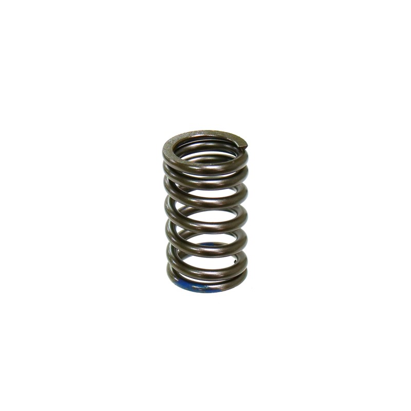 PSYCHIC SPRĘŻYNA ZAWORU SSĄCEGO KAWASAKI KXF 250 \'07-\'10 (XU-09540IS)