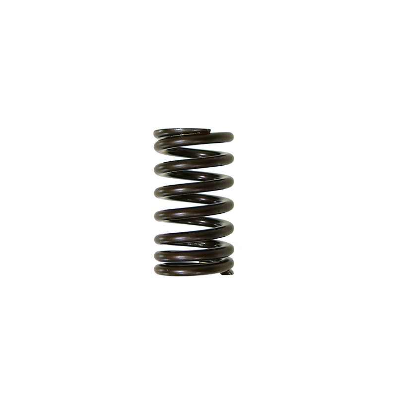 PSYCHIC SPRĘŻYNA ZAWORU SSĄCEGO YAMAHA YZF 450 \'10-\'16 (XU-09541IS)