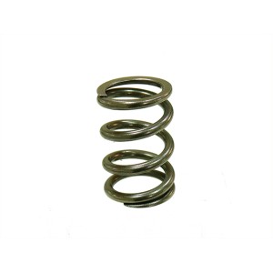 PSYCHIC SPRĘŻYNA ZAWORU WYDECHOWEGO KTM SXF 250 \'08-\'12, EXCF 250 08-13 (XU-09551ES)
