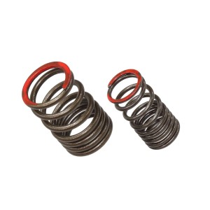 PSYCHIC SPRĘŻYNA ZAWORU WYDECHOWEGO KAWASAKI KXF 450 (KX 450F) \'16-18 (XU-09561ES)