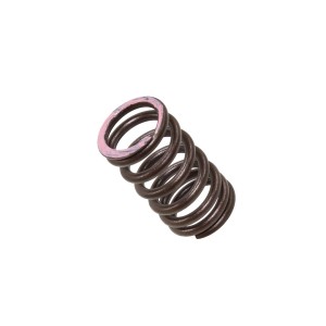 PSYCHIC SPRĘŻYNA ZAWORU WYDECHOWEGO HONDA CRF 250R \'18-20, CRF 250X \'18-20 (XU-09564ES)