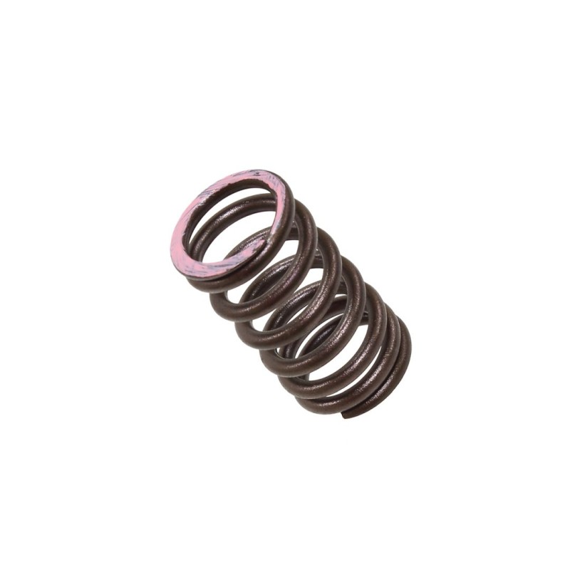 PSYCHIC SPRĘŻYNA ZAWORU WYDECHOWEGO HONDA CRF 250R \'18-20, CRF 250X \'18-20 (XU-09564ES)