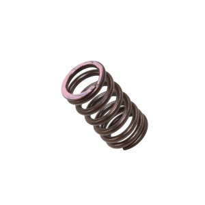 PSYCHIC SPRĘŻYNA ZAWORU WYDECHOWEGO HONDA CRF 250R \'18-20, CRF 250X \'18-20 (XU-09564ES)