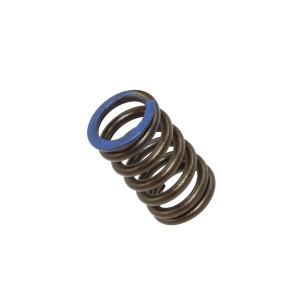 PSYCHIC SPRĘŻYNA ZAWORU SSĄCEGO HONDA CRF 250R \'18-21, CRF 250X \'18-20 (XU-09564IS)