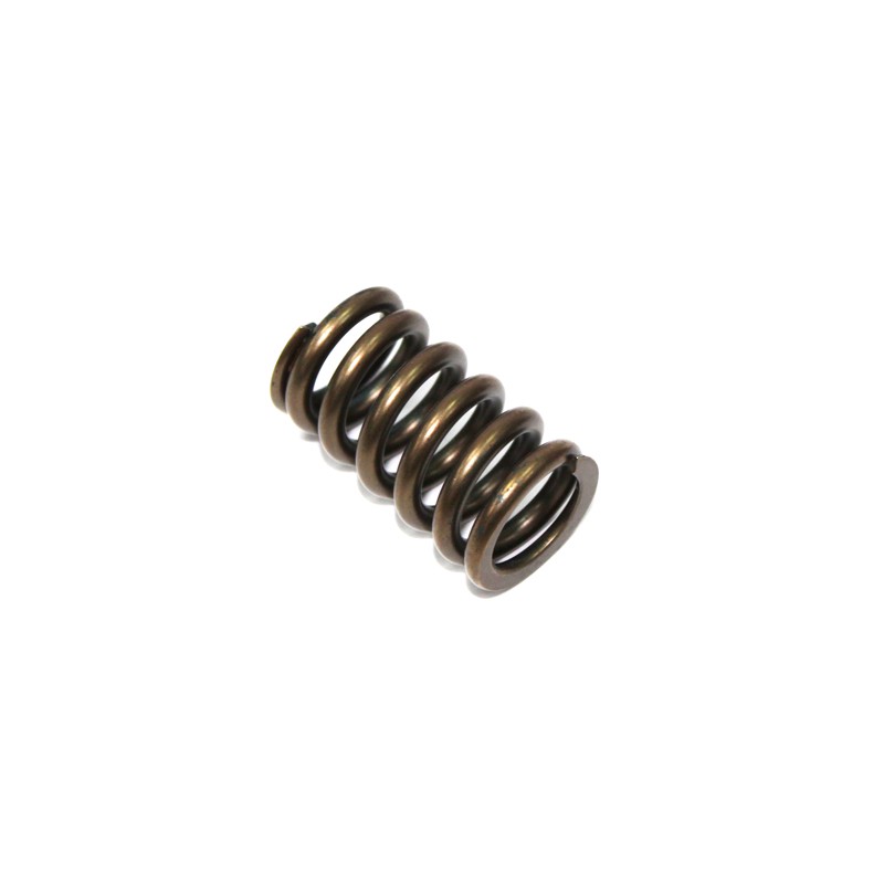 Sprężyna zaworu ssącego Kawasaki KXF 450 '06-'17, KFX 450R '08-14, KLX 450R '08-17