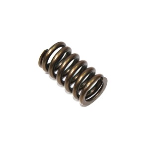 Sprężyna zaworu ssącego Kawasaki KXF 450 '06-'17, KFX 450R '08-14, KLX 450R '08-17