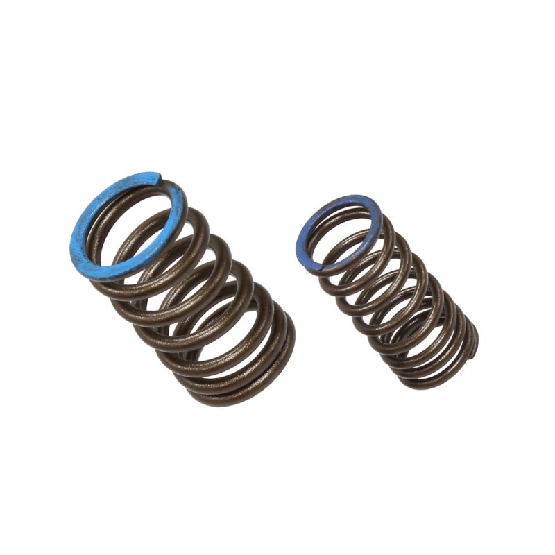 Sprężyna zaworu ssącego KXF 450 (KX 450F) '19-20 - Psychic