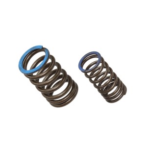 Sprężyna zaworu ssącego KXF 450 (KX 450F) '19-20 - Psychic