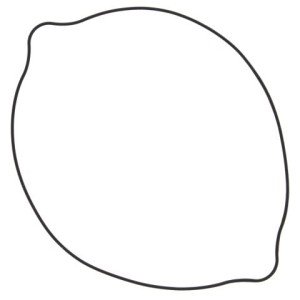 Uszczelka pokrywy sprzęgła Suzuki RM 250 (RM250) 96-09 - Winderosa (Vertex) Oring zewnętrzna