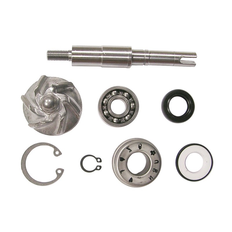 Zestaw naprawczy pompy wody do HONDA FES 125 Pantheon, SES 125 Dylan, SH 125 Scoopy