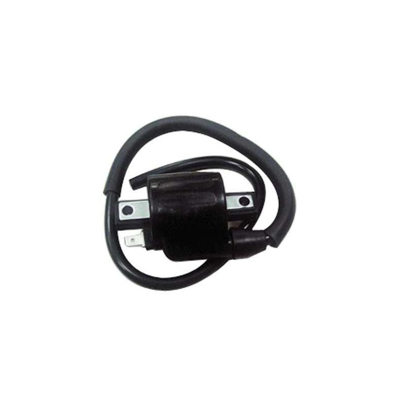 Cewka zapłonowa do instalacji 12V i 6V - Bronco