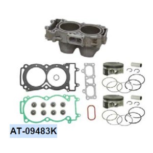 BRONCO CYLINDER KOMPLETNY POLARIS 900 ACE '16, RANGER 900 '13-'16, RZR 4/ RZR 900 '15-'16