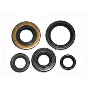 Komplet uszczelniaczy silnikowych Honda TRX 400 EX Fourtrax '98-'08