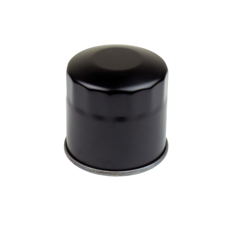 Filtr oleju Athena do Honda VT/VF/VN 750 (HF202)