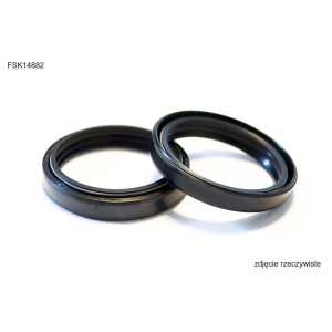 USZCZELNIACZE PRZEDNIEGO ZAWIESZENIA BEARING WORX ARI117 48X58,2X8,5/10,5 MM