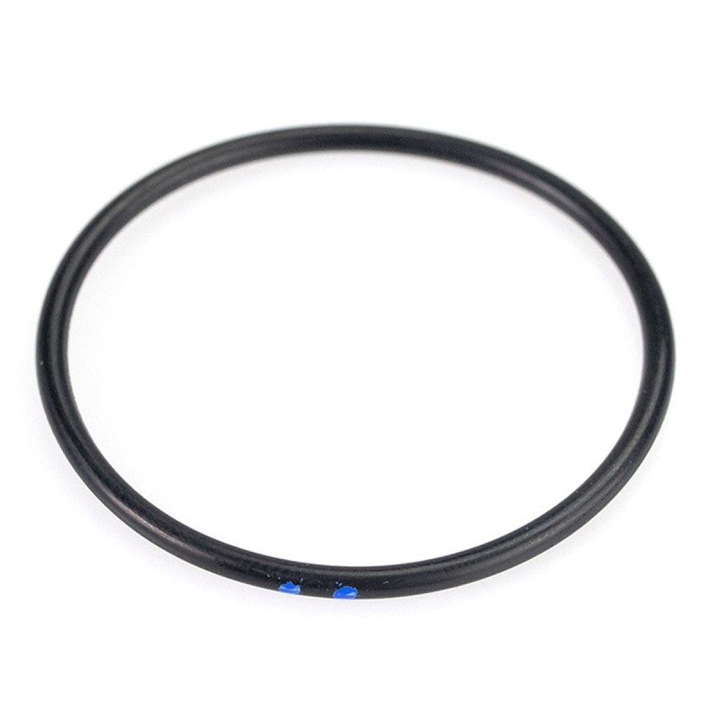 O-Ring tłoczyska amortyzatora tylengo - 2,5mmx48mm (22)